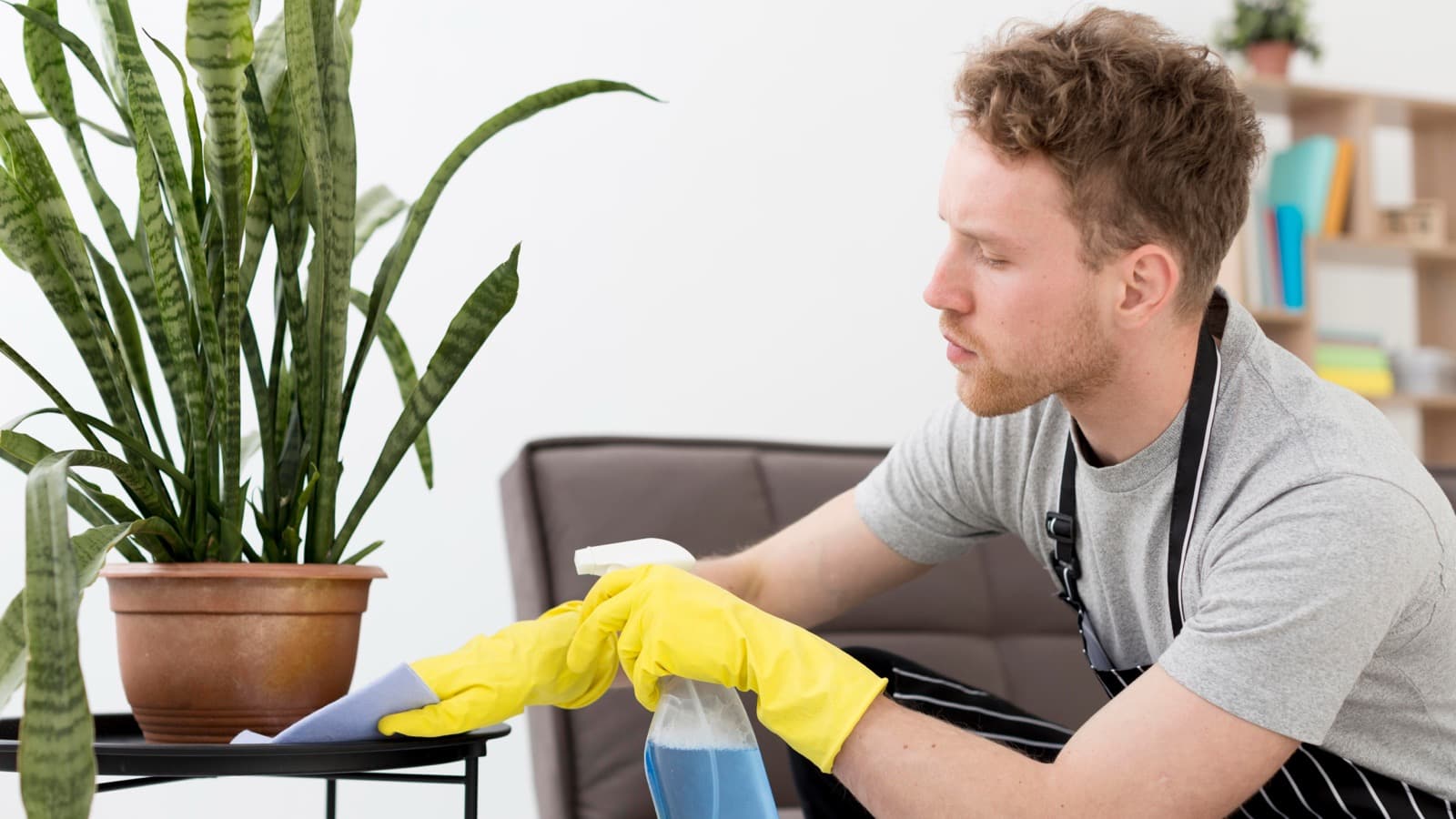 Deep Cleaning Services